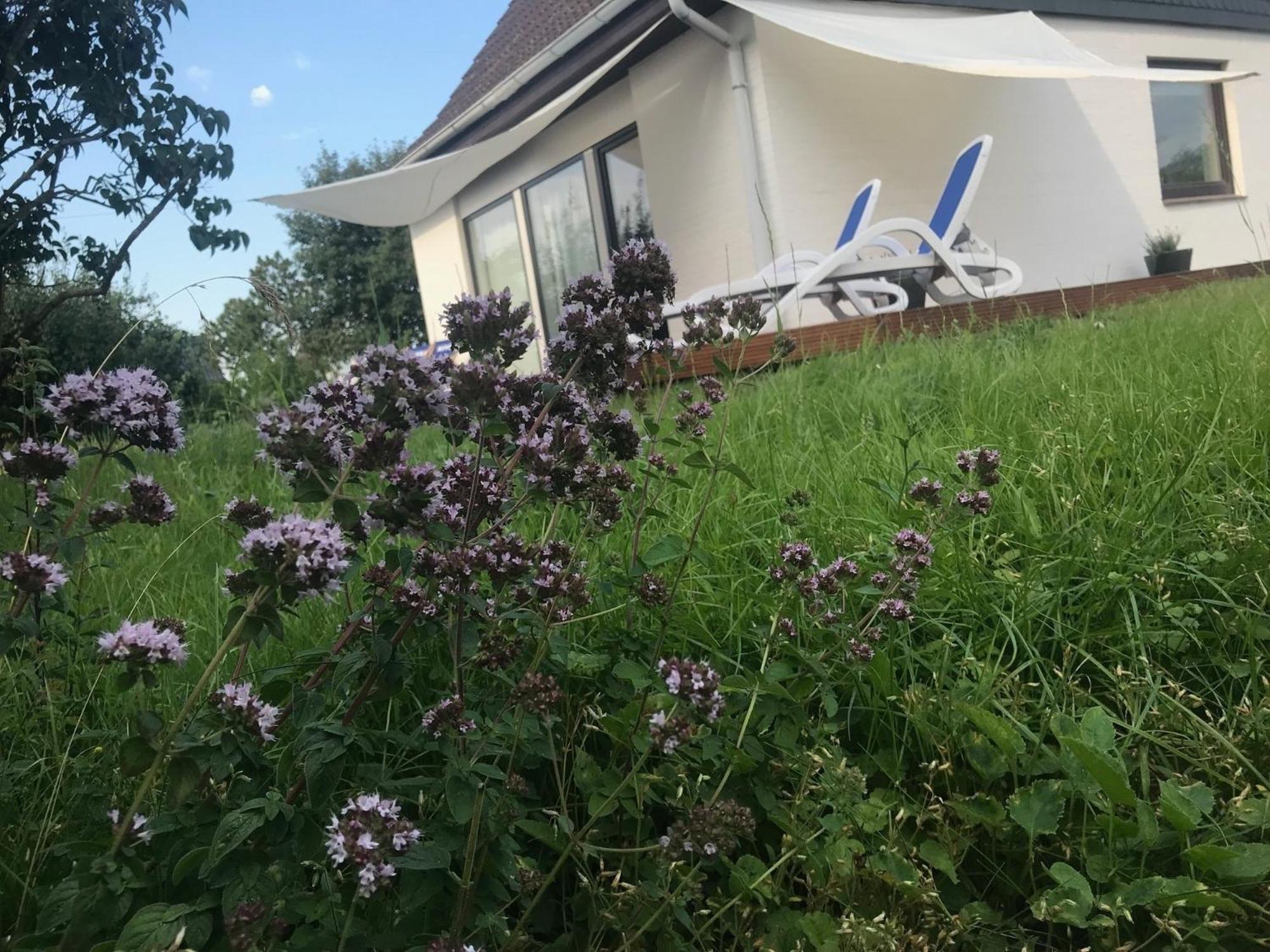 Casa Marcu Wohnung 2 Eg Landkirchen Εξωτερικό φωτογραφία